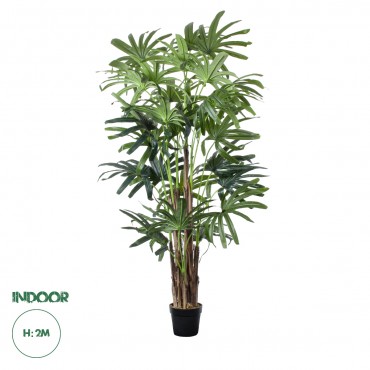 GloboStar® Artificial Garden BROADLEAF LADY PALM TREE 20385 Τεχνητό Διακοσμητικό Φυτό Πλατύφυλλος Φοίνικας Μπαμπού Υ200cm