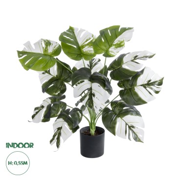 GloboStar® Artificial Garden ALBINO MONSTERA PLANT 20935 - Διακοσμητικό Φυτό Λευκή Μονστέρα Φ60 x Υ55cm