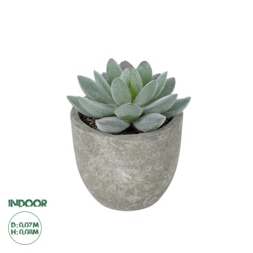 GloboStar® Artificial Garden SUCCULENT SEDEVERIA POTTED PLANT 21016 Διακοσμητικό Φυτό Σεδεβέρια  Φ7 x Υ8cm