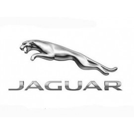 Ανεμοθραύστες Jaguar