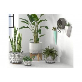 Τεχνητά Φυτά σε Γλάστρα