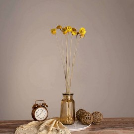 Αποξηραμένα Λουλούδια - Φυτά